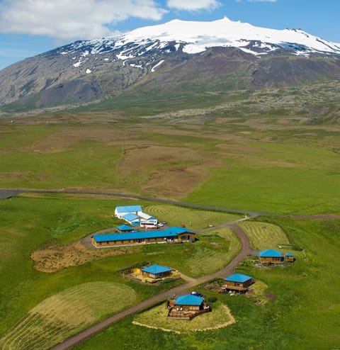 Bird's eye view, Area and facilities