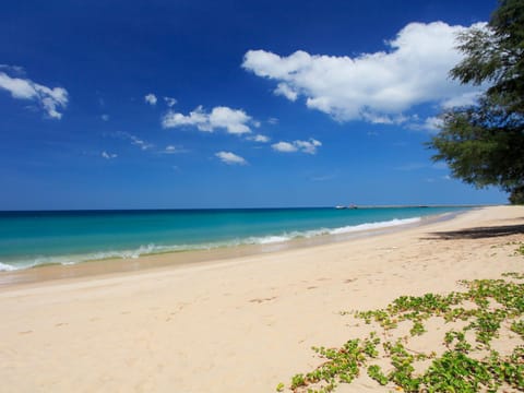 Day, Beach, Sea view, Location