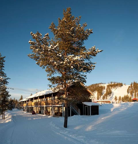 Tännäskröket Nature lodge in Innlandet