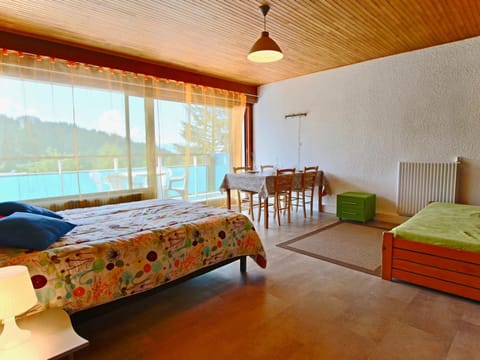 Studio spacieux rénové, balcon sud, accepte animaux - FR-1-340-132 Apartment in Provence-Alpes-Côte d'Azur