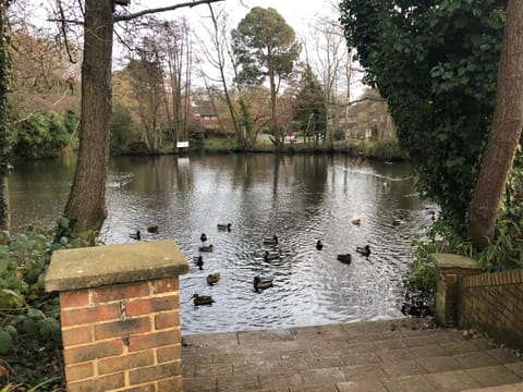 Natural landscape, Lake view