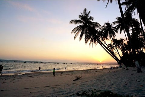 Beach, Sunset