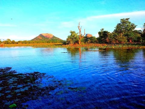 Thilina Homestay Bed and Breakfast in Dambulla