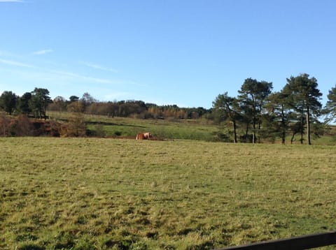 Bonners Lodge Alojamiento y desayuno in Lanchester