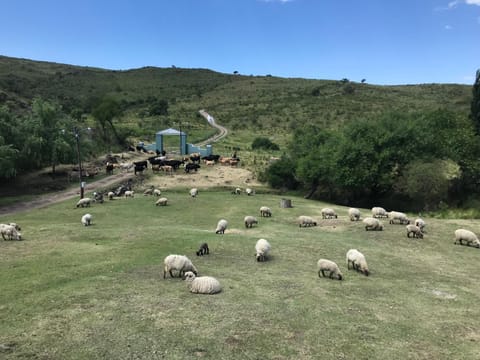 El Zuriaco Nature lodge in Cordoba Province