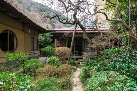 Day, Garden, Garden view