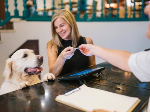 Lobby or reception, Animals, Pets