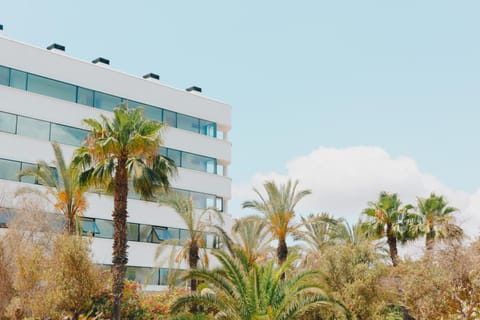 El Hotel Pacha Hotel in Ibiza