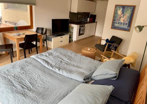 Casa Marlenca EG Apartment in Arosa