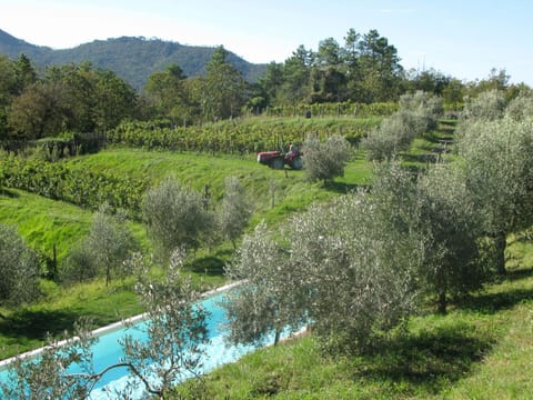 Day, Garden