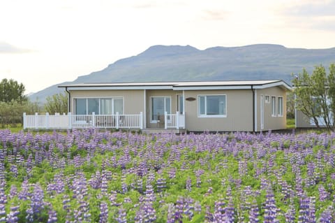 Property building, Summer, Garden