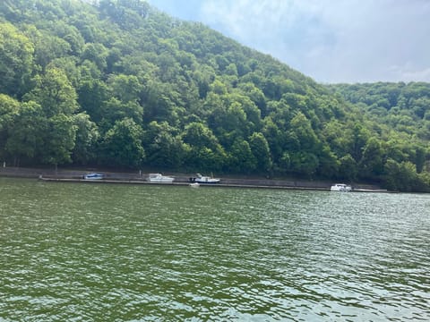 Entre Roche & Meuse House in Dinant