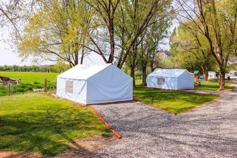 Shell Campground Campingplatz /
Wohnmobil-Resort in Wyoming