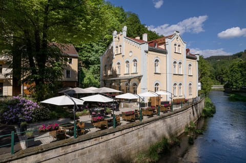 Villa Basileia Riverside Hotel in Saxony