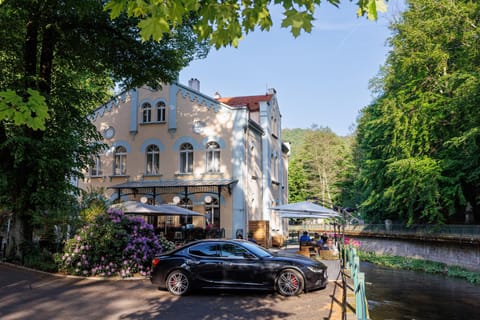 Villa Basileia Riverside Hotel in Saxony