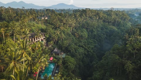 Natural landscape, Bird's eye view