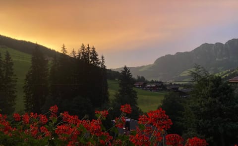 Haus Hislop Apartment in Alpbach