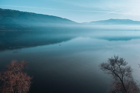 Neighbourhood, Lake view