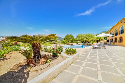 Patio, Garden, Garden view