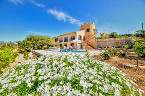 Patio, Garden, Garden view