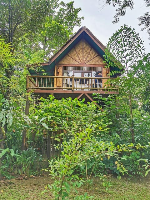 Our Jungle Camp - Eco Resort Resort in Khlong Sok