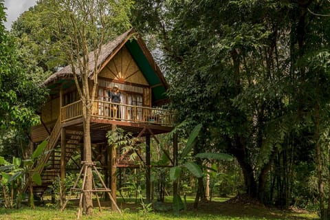 Our Jungle Camp - Eco Resort Resort in Khlong Sok