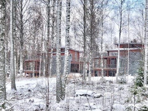Villa Avara Ellivuori Finland Chalet in Finland