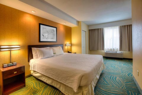 SpringHill Suites by Marriott - Tampa Brandon Hôtel in Brandon