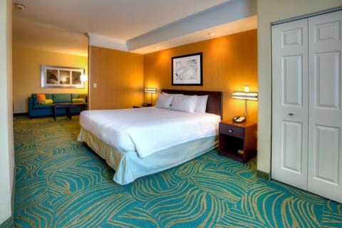 SpringHill Suites by Marriott - Tampa Brandon Hotel in Brandon