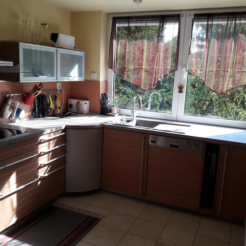 Kitchen or kitchenette, Photo of the whole room, Communal kitchen