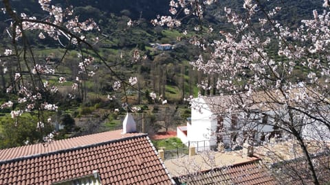 Mountain view, Street view