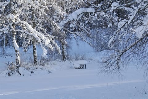 Property building, Natural landscape, Winter