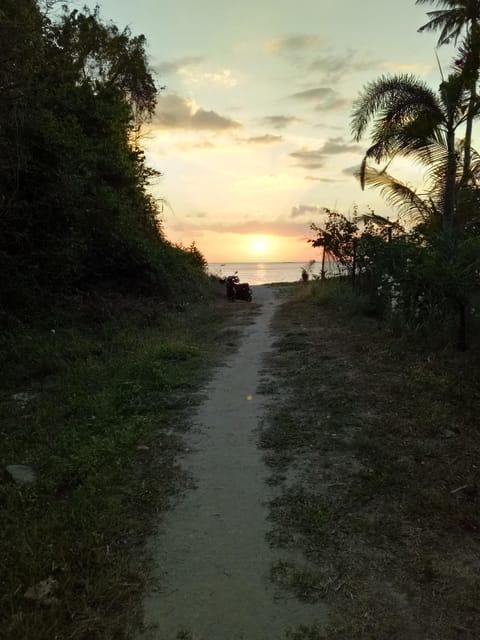 Nearby landmark, Natural landscape, Activities, Summer, Beach, Sunset