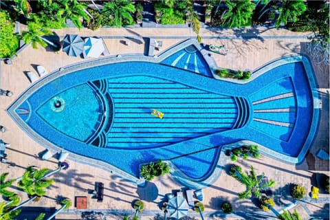 Bird's eye view, Pool view, sunbed