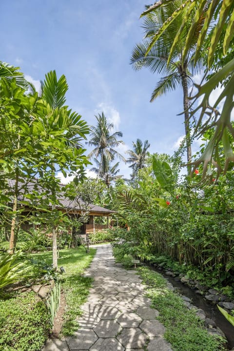 Garden, Garden view, Garden view