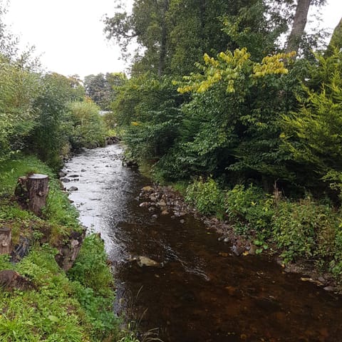 Bear Lodge Nature lodge in Scotland