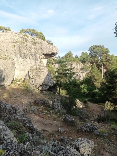 Hostal Cañamares Bed and Breakfast in Castile-La Mancha