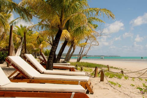 Natural landscape, Beach, Sea view, sunbed