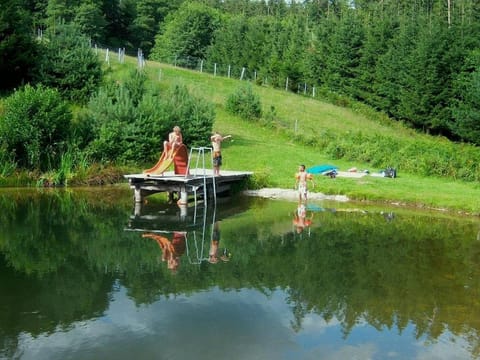 Summer, On site, Swimming pool, Swimming pool, Sports