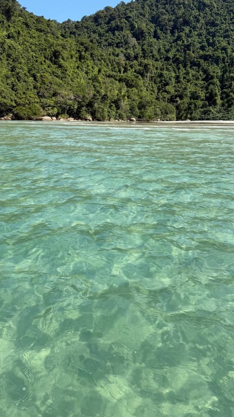 Day, Natural landscape, Beach, Mountain view, River view