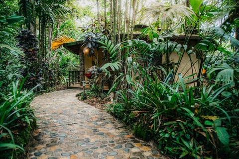 Day, Garden, Garden view