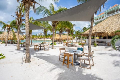 Restaurant/places to eat, Lounge or bar, Beach, Lunch