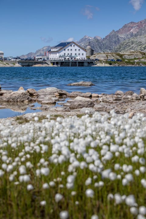 Property building, Natural landscape