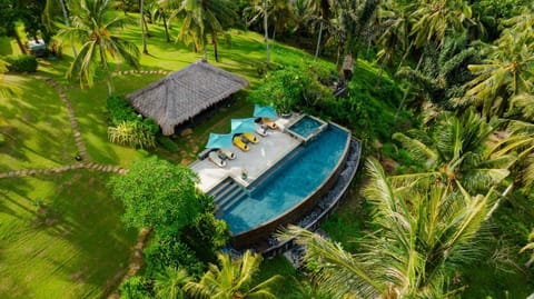 Day, Natural landscape, Garden, Garden view, Pool view, Swimming pool