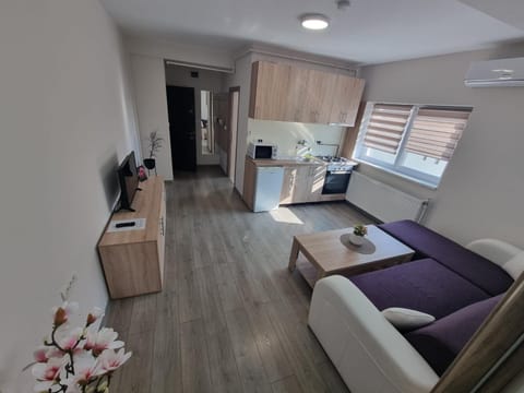 City Premium Apartments Condominio in Timisoara