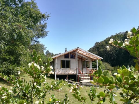 Cabañas Aliwen Panguipulli Country House in Los Ríos, Chile