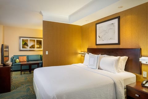 SpringHill Suites by Marriott Modesto Hotel in Modesto