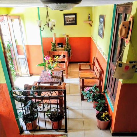 Posada "Jardin Huasteca Xilitla" Bed and Breakfast in Hidalgo, Mexico