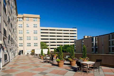 Residence Inn Rochester Mayo Clinic Area Hotel in Rochester