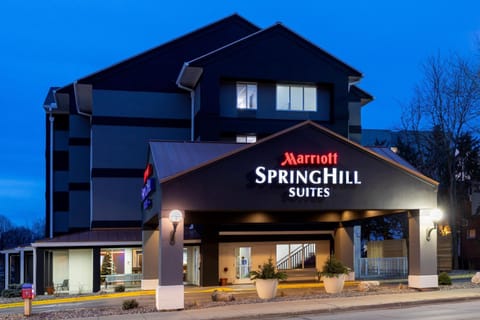 SpringHill Suites Rochester Mayo Clinic Area / Saint Marys Hotel in Rochester